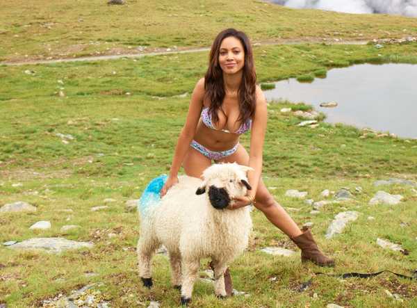 Ariel Meredith and a rare  Swiss Blue Bottomed Sheep :: Yu Tsai/SI
